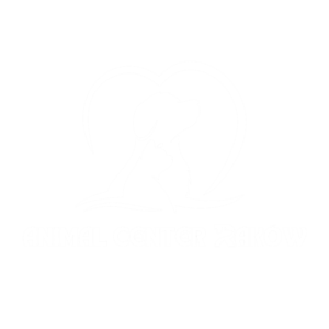 Hotel dla psów - Animal Center Raków